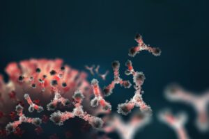 Charcot Marie Tooth Disease